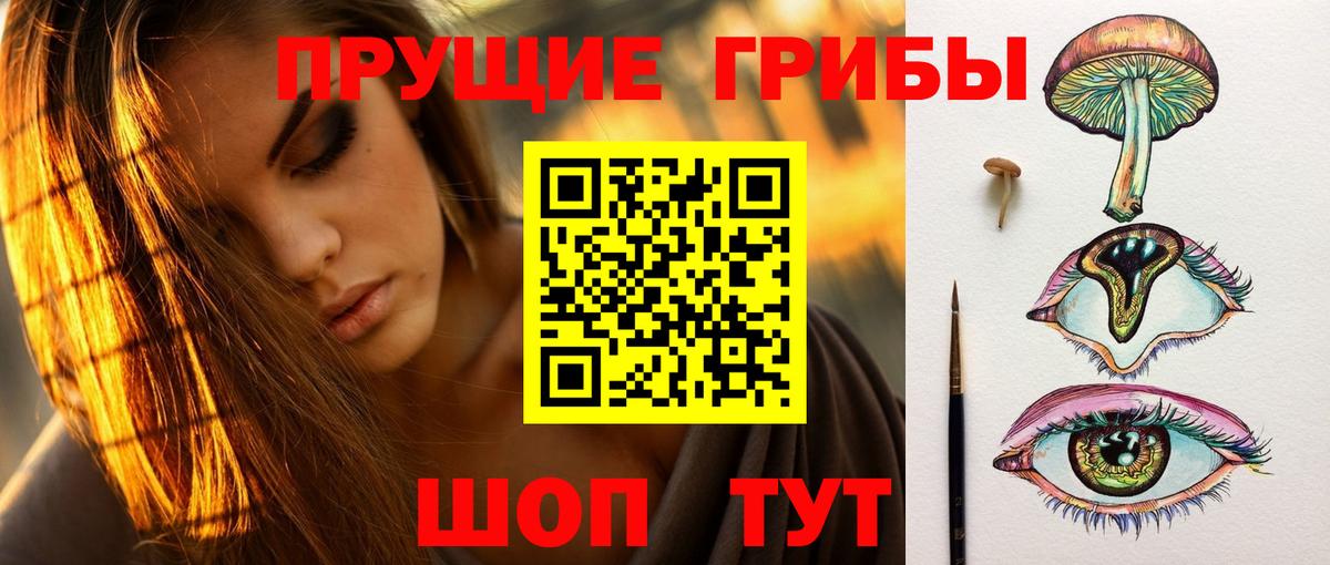 Ивантеевка  Галлюциногенные грибы прущие грибы  Галлюциногенные грибы прущие грибы  Вход с VPN 