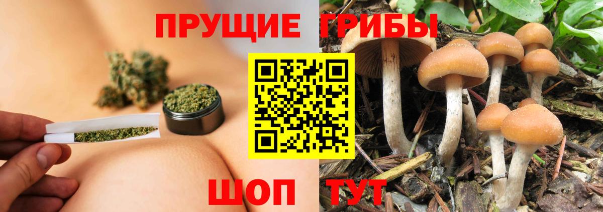 Псилоцибиновые грибы Magic Shrooms Ивантеевка
